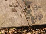image of grave number 433016